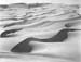 Glamis dunes, Algodoes